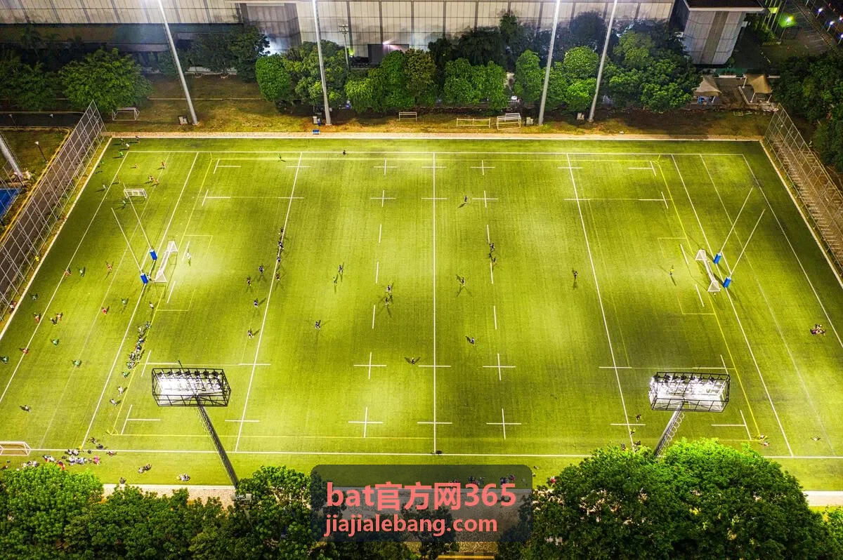 bat官方网365 在线服务页面展示