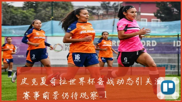 皮克夏奇拉世界杯备战动态引关注 赛事前景仍待观察_1