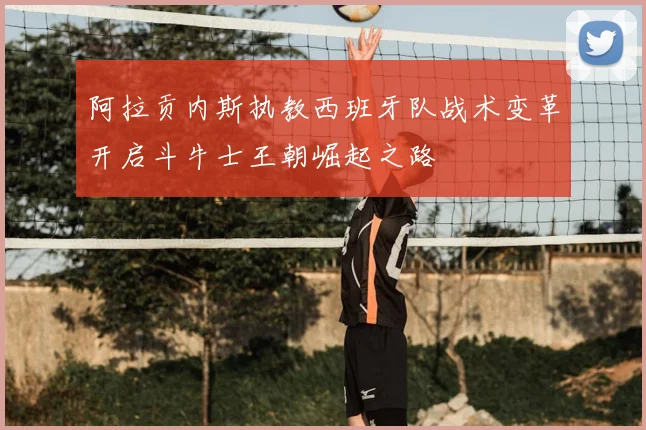 阿拉贡内斯执教西班牙队战术变革开启斗牛士王朝崛起之路